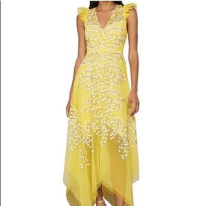 BCBG Aurora Evening Gown